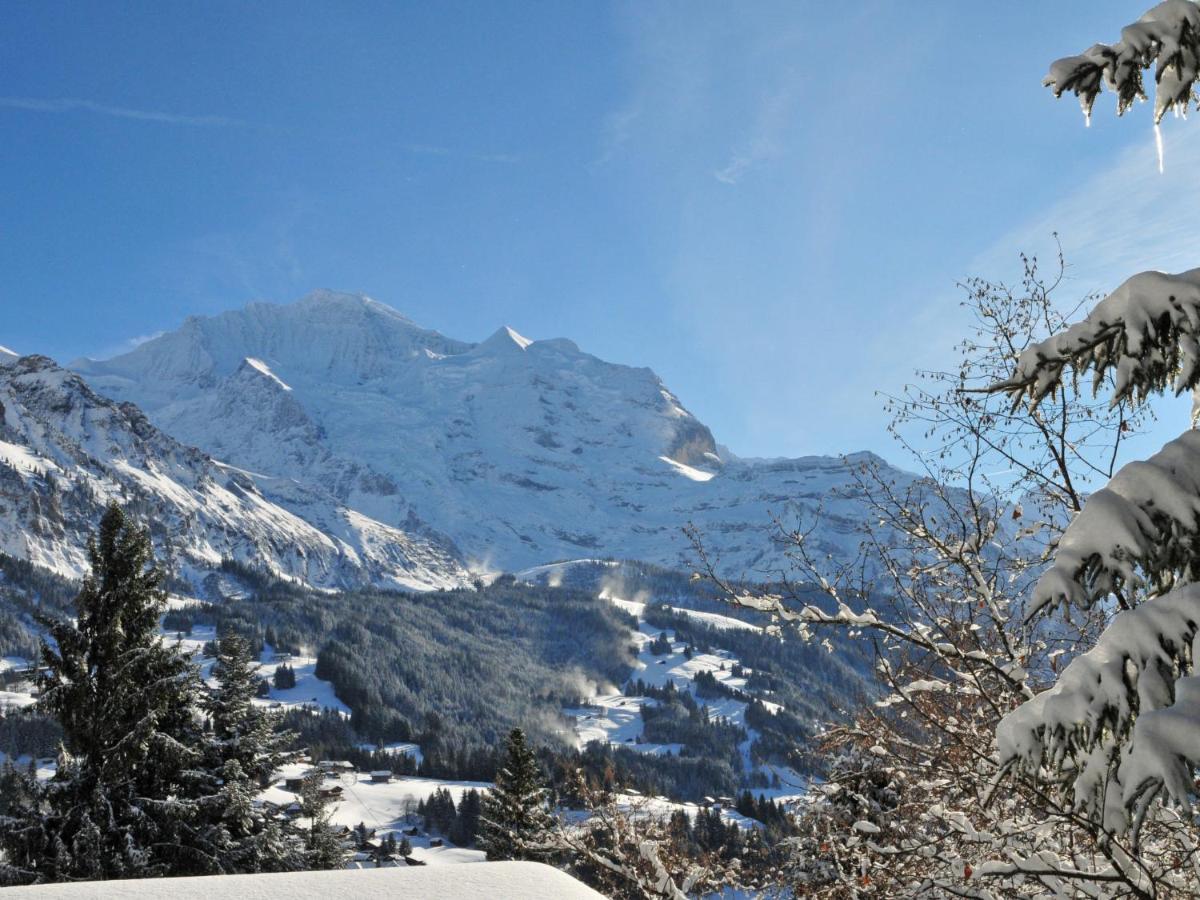 Apartment Eigersonne By Interhome Wengen Dış mekan fotoğraf
